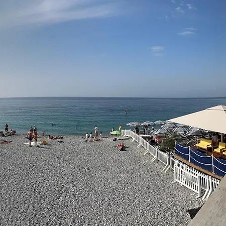 Carre D Or Face A La Nice